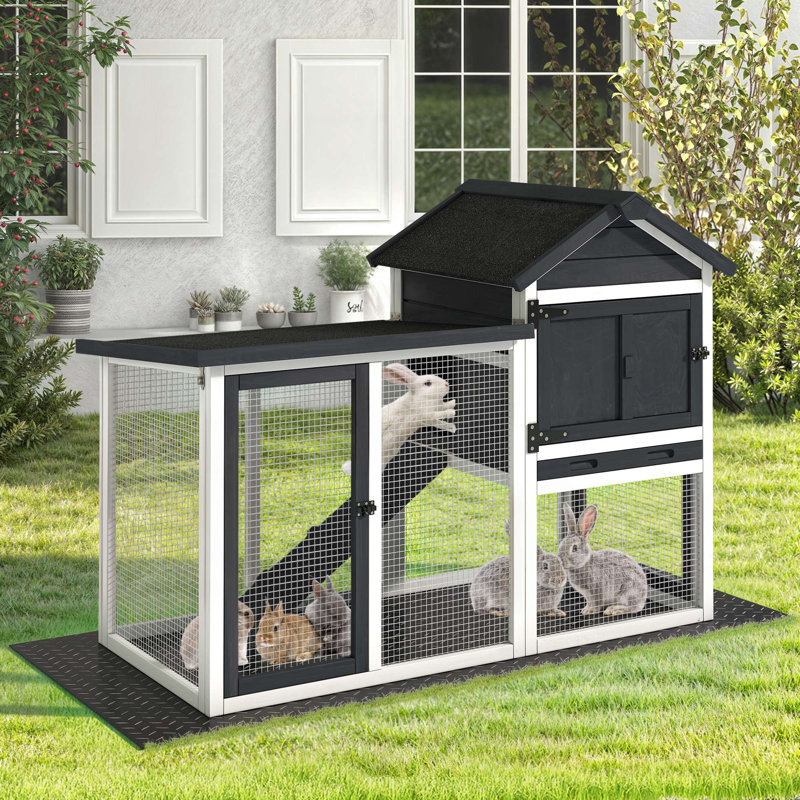 Tucker Murphy Pet Batholo Weather Resistant Wood Rabbit Hutch House with Removable Tray Wayfair